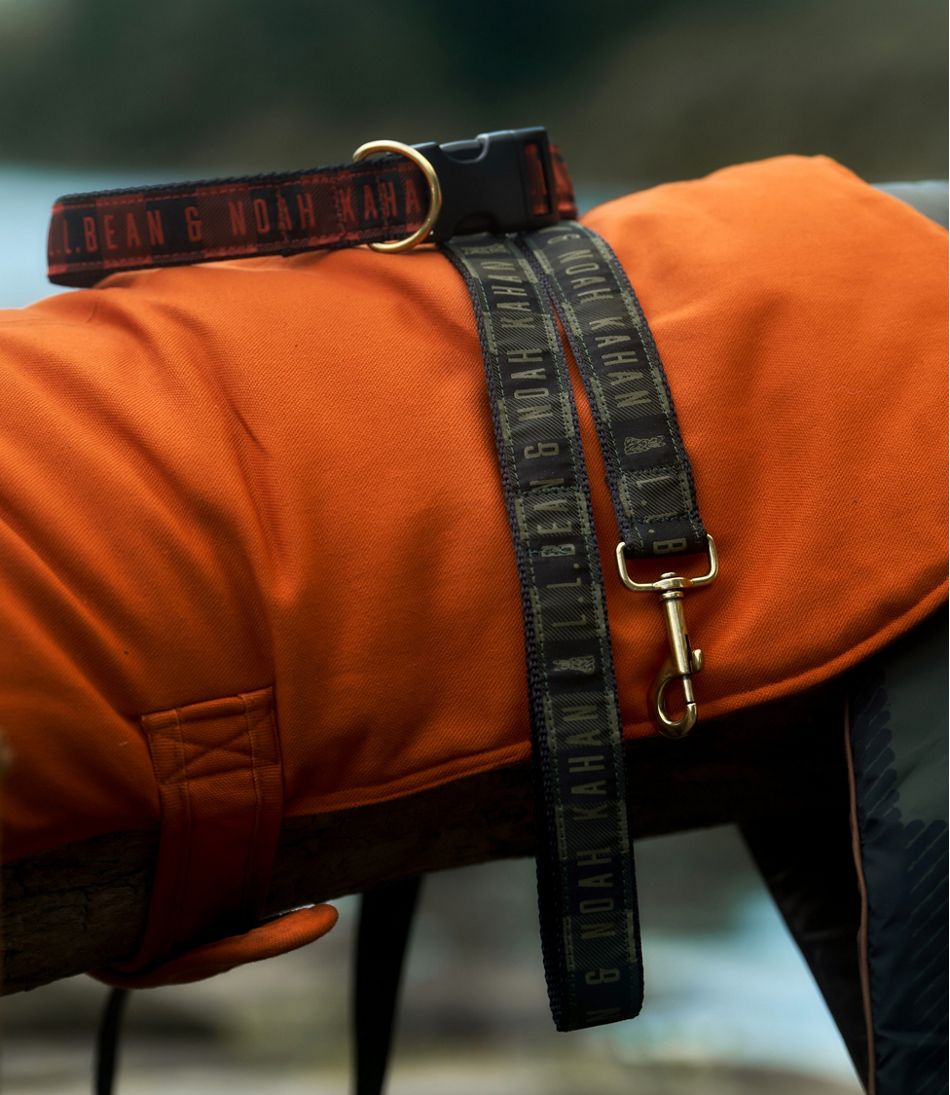 L.L.Bean | L.L.Bean & Noah Kahan Novelty Dog Collar