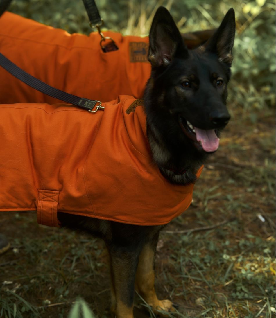 L.L.Bean | L.L.Bean & Noah Kahan Reversible Field Coat for Dogs