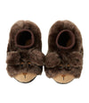 Brown Bear
