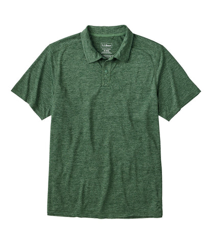 Evergreen,Small