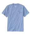 Blue Tide Heather