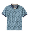 Cadet Blue Fish