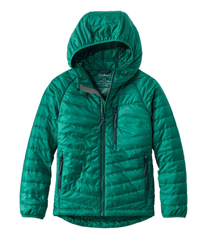 Emerald Spruce,Small 8