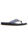 Bright Mariner Ditzy Gingham
