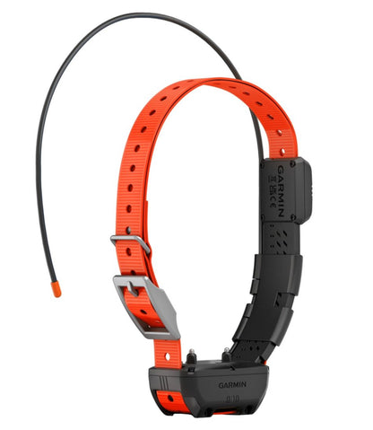 L.L.Bean | Garmin Alpha TT25 Dog Collar