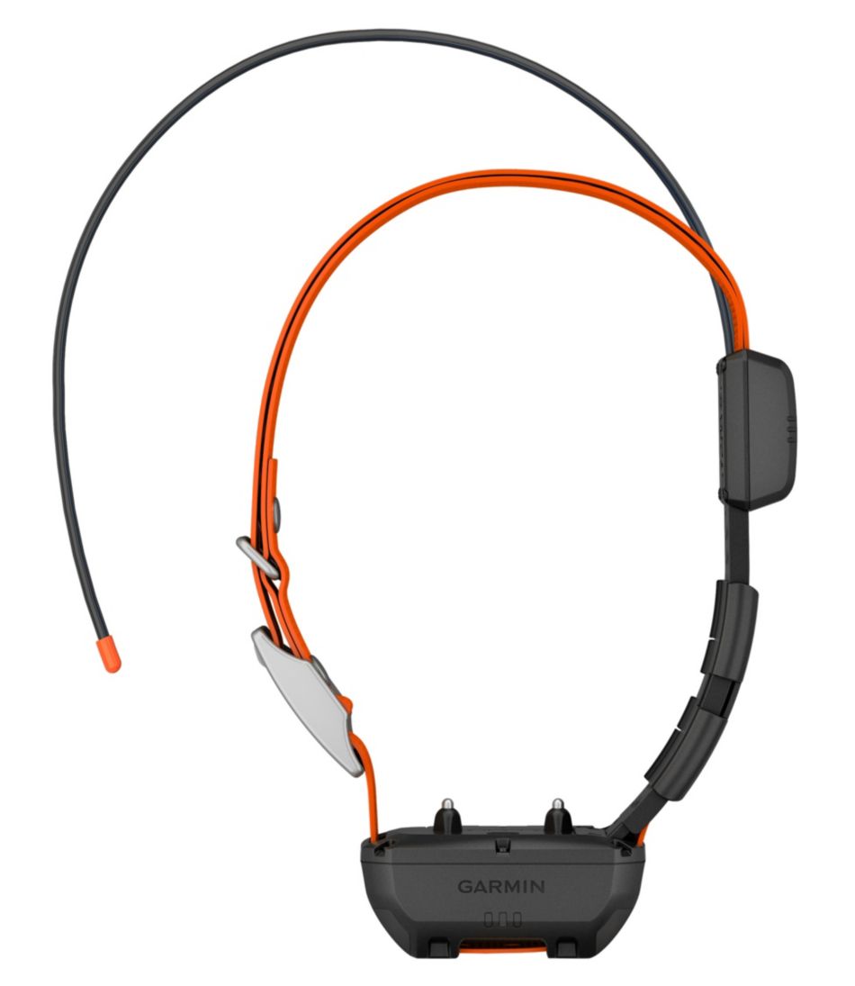 L.L.Bean | Garmin Alpha TT25 Dog Collar
