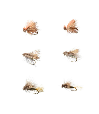 L.L.Bean | Umpqua Six-Piece Caddis Dry Fly Selection