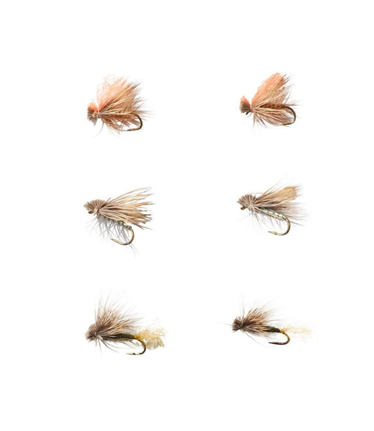 L.L.Bean | Umpqua Six-Piece Caddis Dry Fly Selection
