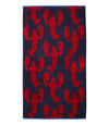 Bright Navy