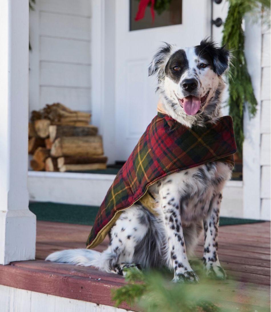 L.L.Bean | Reversible Field Coat for Dogs
