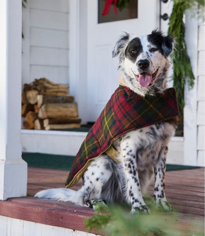 L.L.Bean | Reversible Field Coat for Dogs