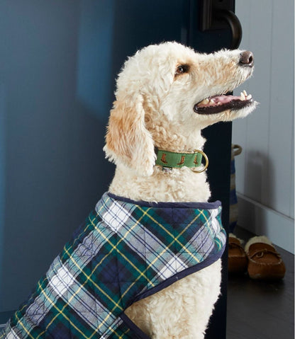 L.L.Bean | Novelty Dog Collar
