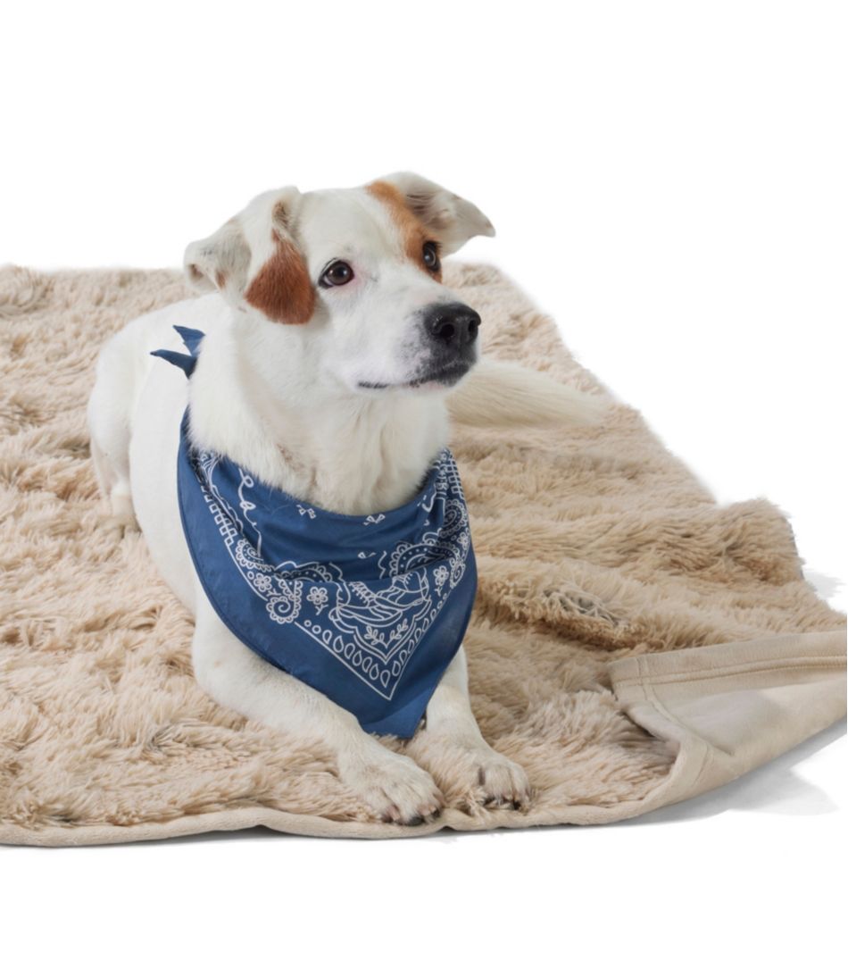 L.L.Bean | Plush Cuddler Dog Blanket