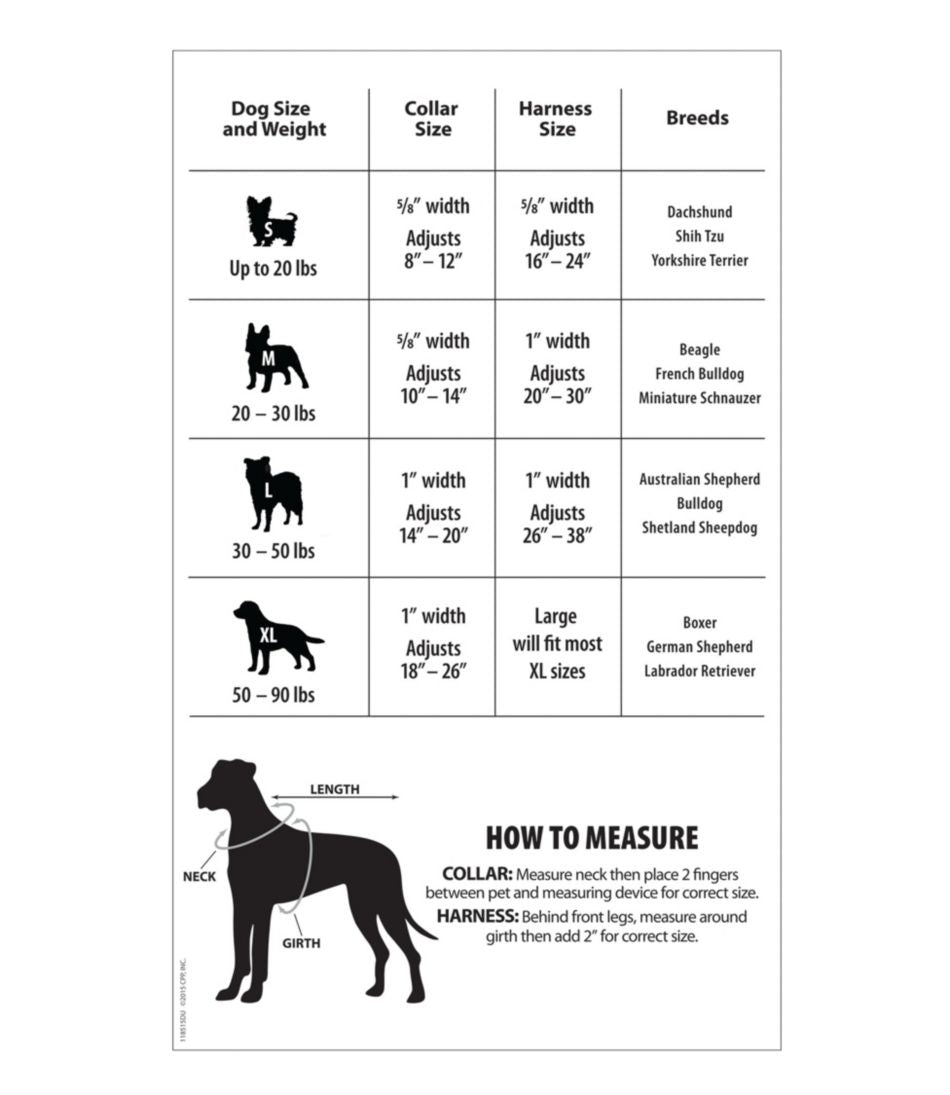 L.L.Bean | Personalized Pet Collar, Reflective