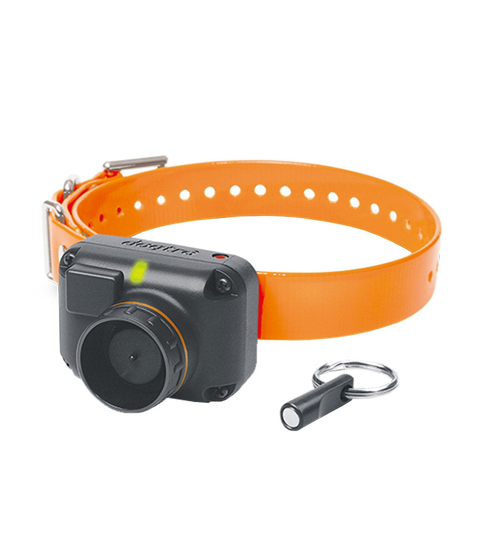 Hunter Orange,OS