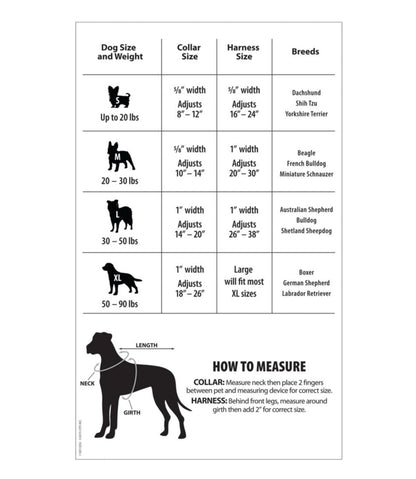 L.L.Bean | Personalized Pet Collar