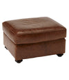 Chestnut Brown